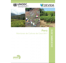 Perú: Monitoreo de Cultivos de Coca 2017